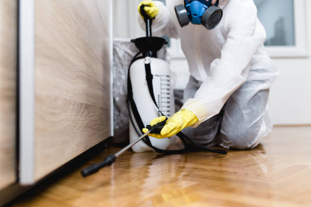 Best Pest Control Near Me in Gardena, CA
