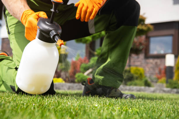 Insect Control in Gardena, CA