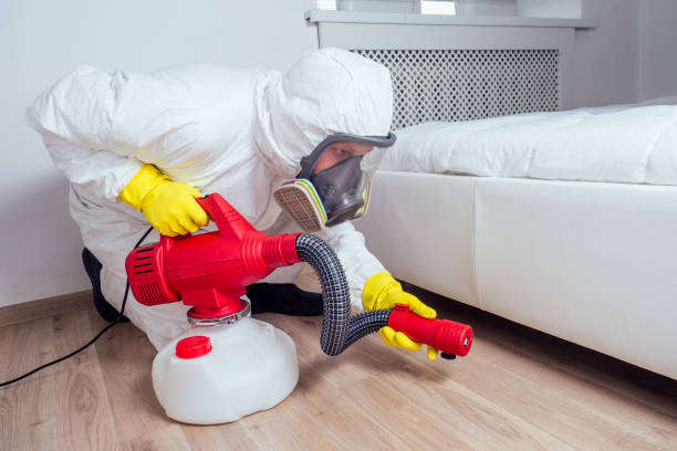 Best Best Pest Control Companies  in Gardena, CA