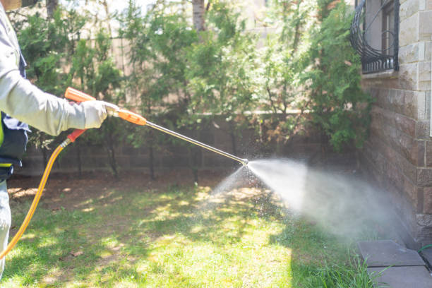 Best Insect Control  in Gardena, CA