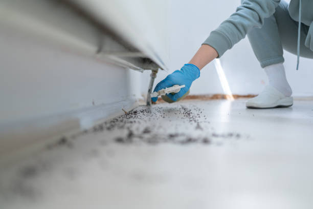 Best Flea Control Services  in Gardena, CA